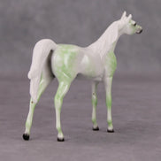Arabian Pebble/Arabian or Andalusian Chip  Mini Loyalty Club Release - November Release Mini24