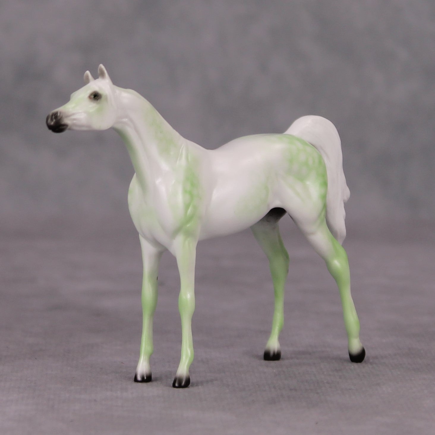 Arabian Pebble/Arabian or Andalusian Chip  Mini Loyalty Club Release - November Release Mini24