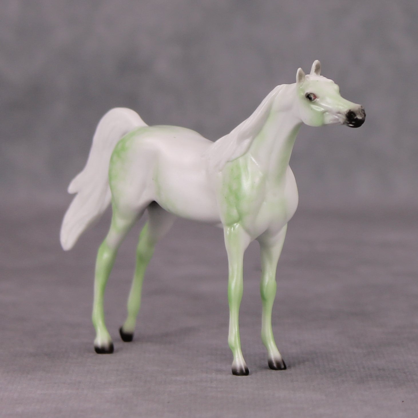 Arabian Pebble/Arabian or Andalusian Chip  Mini Loyalty Club Release - November Release Mini24