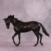 Cool Down OOAK FCM Thoroughbred by Ashley Palmer DDOOAKs25
