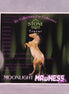 Moonlight Madness Tracer Sticker 2025 Limited Edition