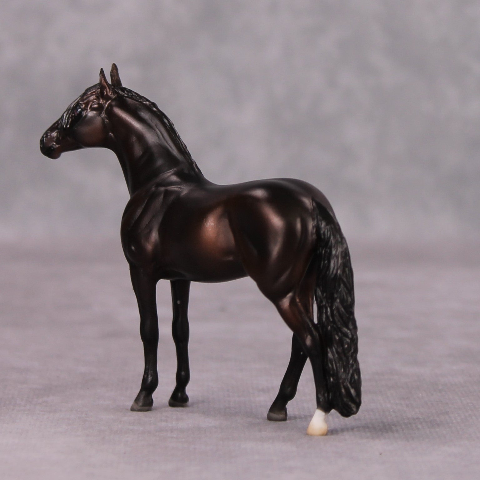 Arabian Pebble/Arabian or Andalusian Chip  Mini Loyalty Club Release - November Release Mini24
