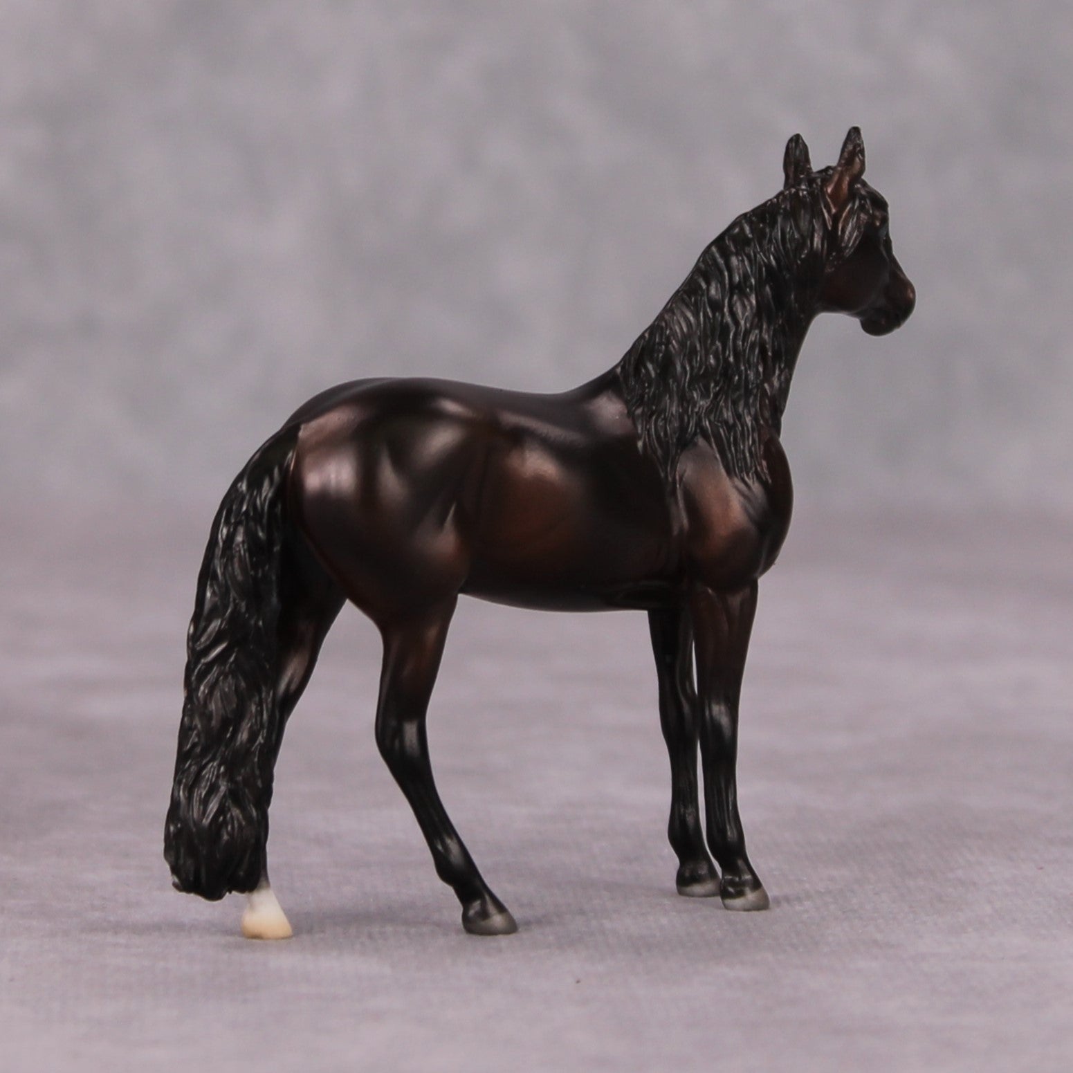 Arabian Pebble/Arabian or Andalusian Chip  Mini Loyalty Club Release - November Release Mini24