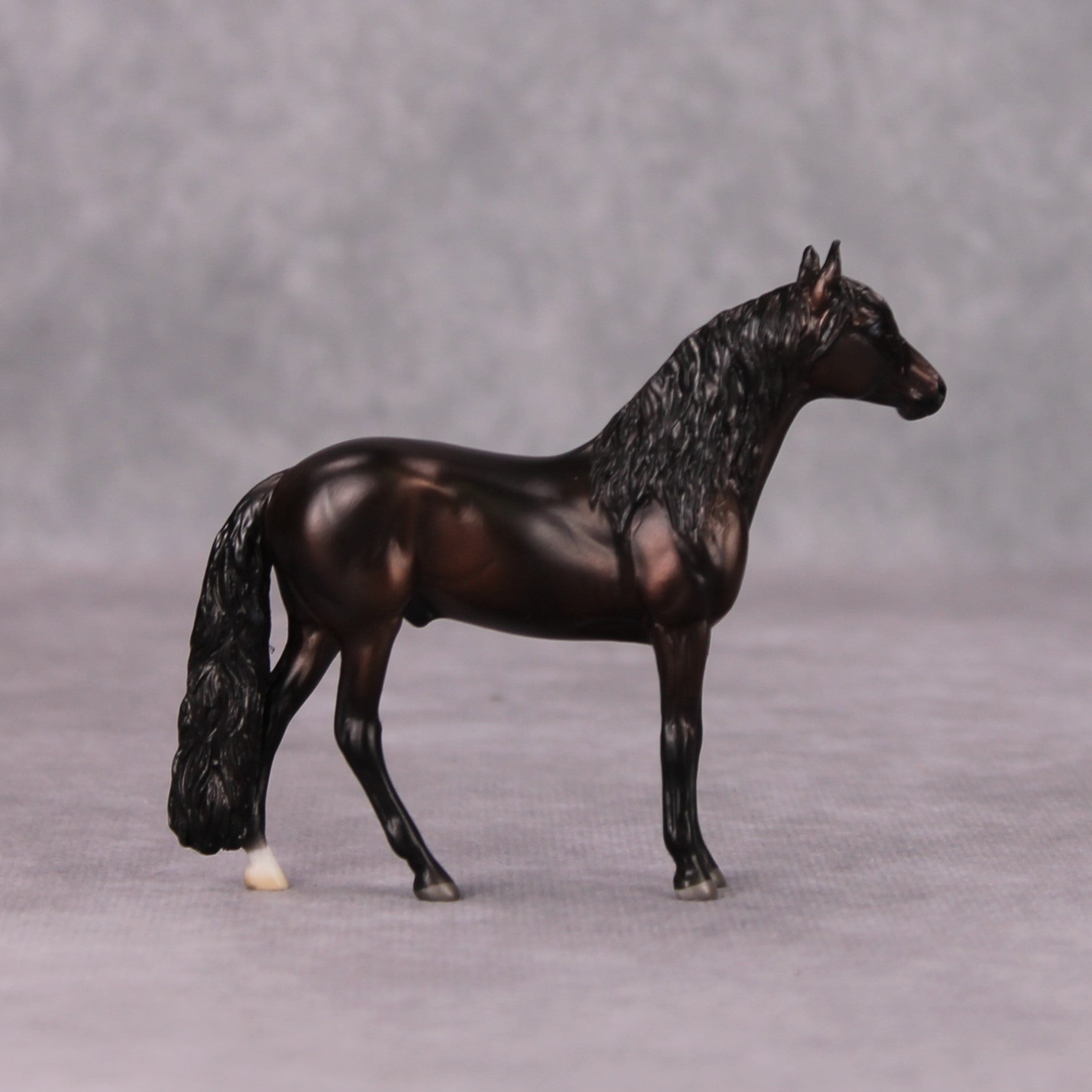 Arabian Pebble/Arabian or Andalusian Chip  Mini Loyalty Club Release - November Release Mini24
