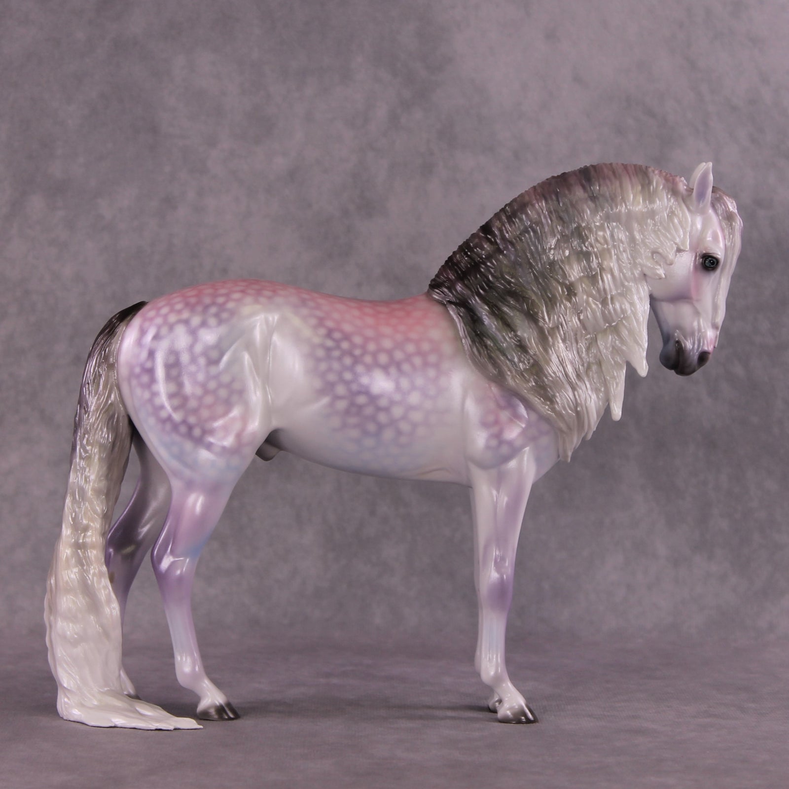 "Candy Floss" OOAK Andalusian by Ellen Robbins SHCF25