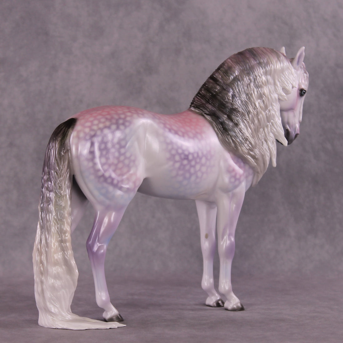 "Candy Floss" OOAK Andalusian by Ellen Robbins SHCF25