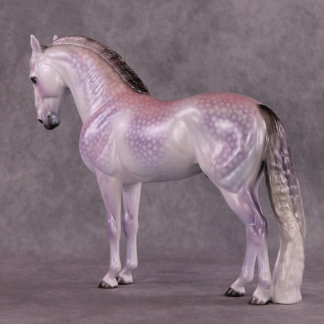 "Candy Floss" OOAK Andalusian by Ellen Robbins SHCF25