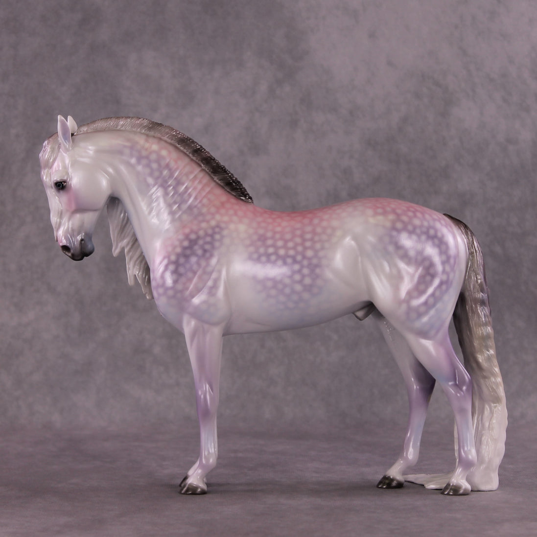 "Candy Floss" OOAK Andalusian by Ellen Robbins SHCF25
