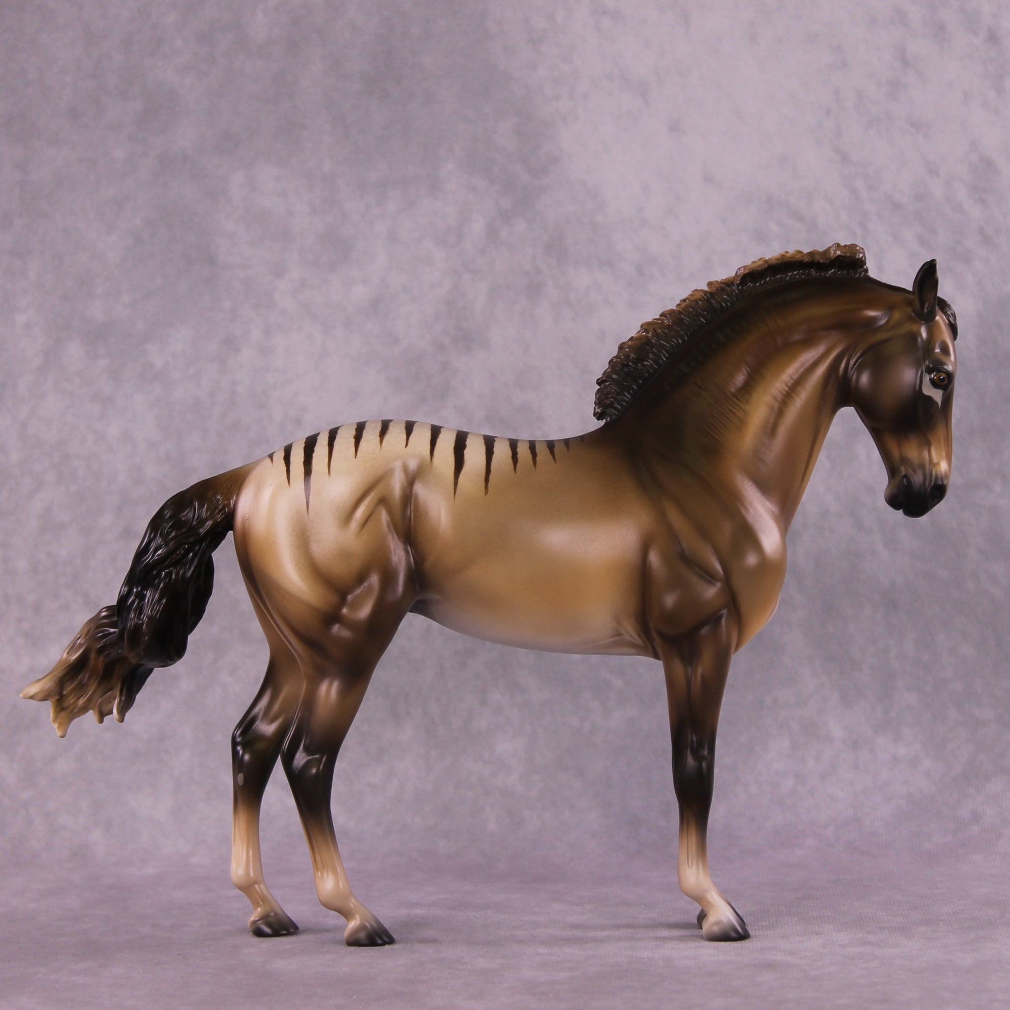 I Want To Believe OOAK FCM Andalusian by Tegan Davis GS825