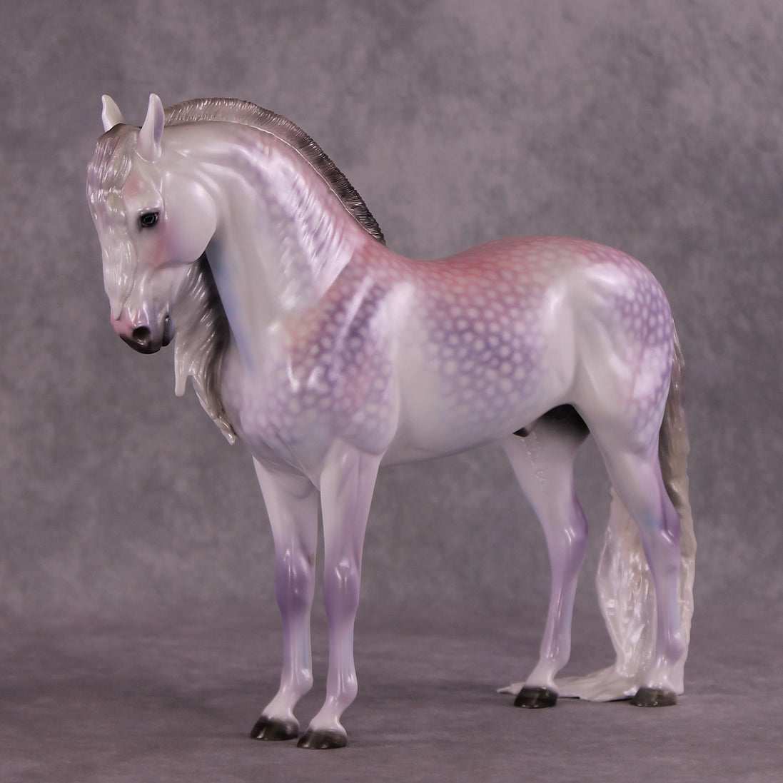 "Candy Floss" OOAK Andalusian by Ellen Robbins SHCF25