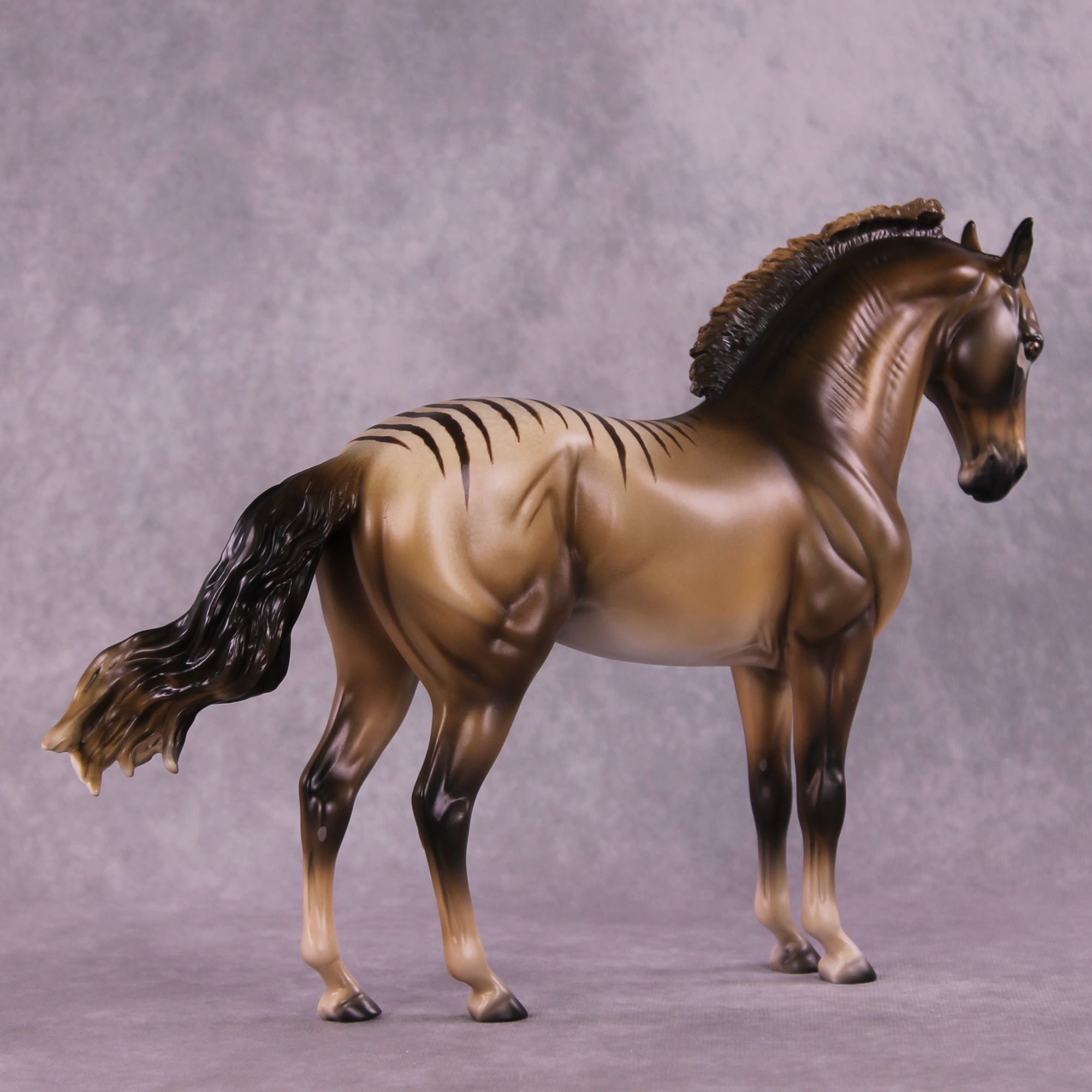 I Want To Believe OOAK FCM Andalusian by Tegan Davis GS825