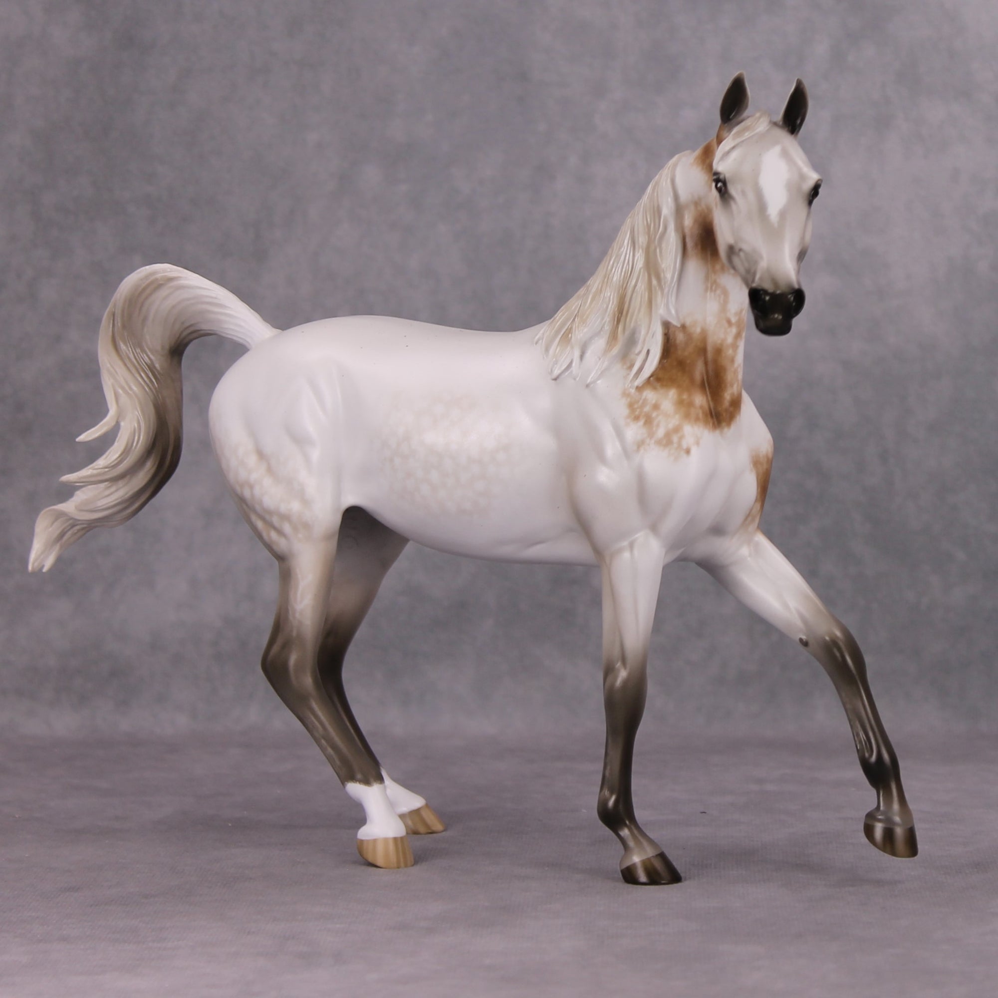 Easy Living OOAK Dappled Fleabitten Grey Custom Arab Mare By Sheryl Leisure Best Offers 11/19/24
