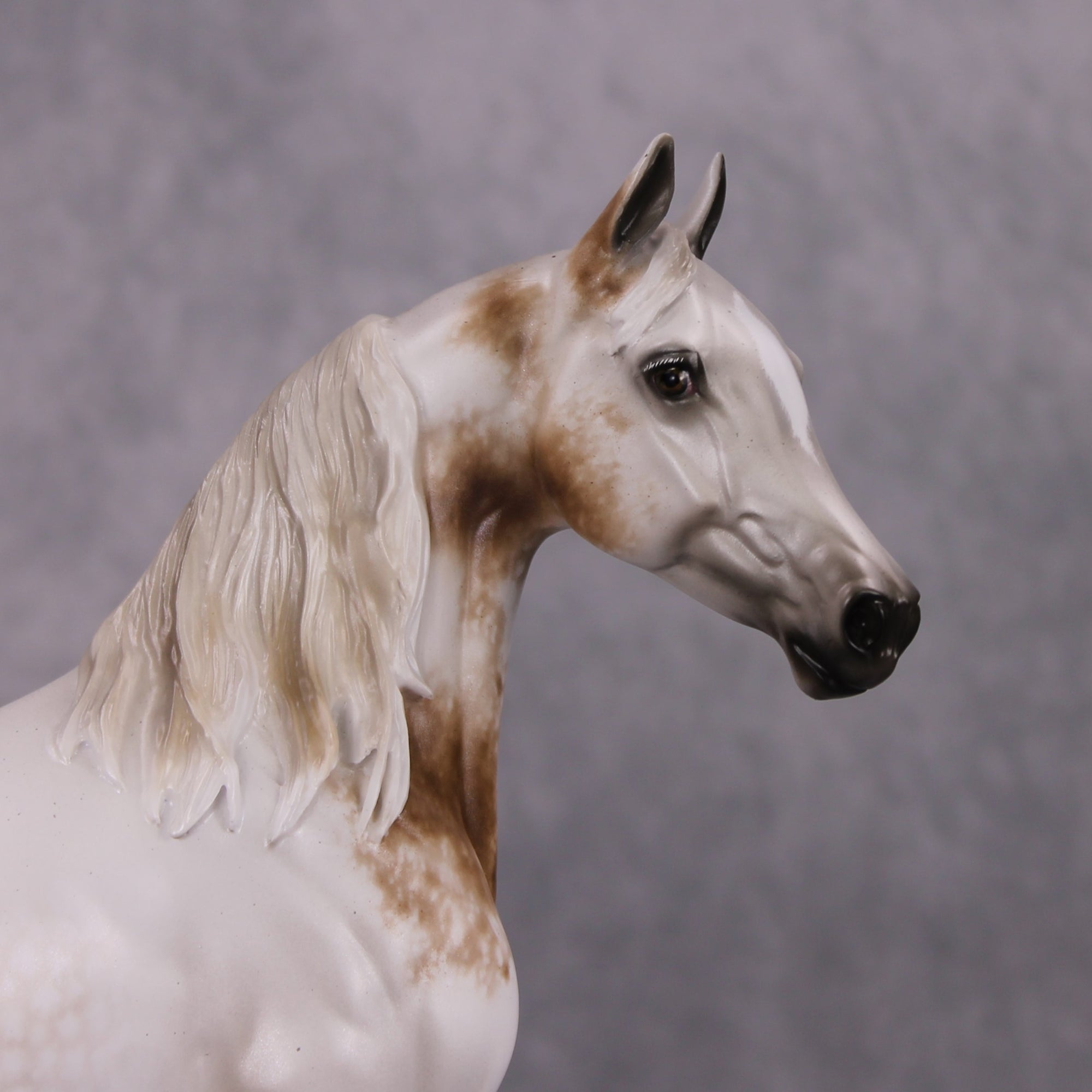 Easy Living OOAK Dappled Fleabitten Grey Custom Arab Mare By Sheryl Leisure Best Offers 11/19/24