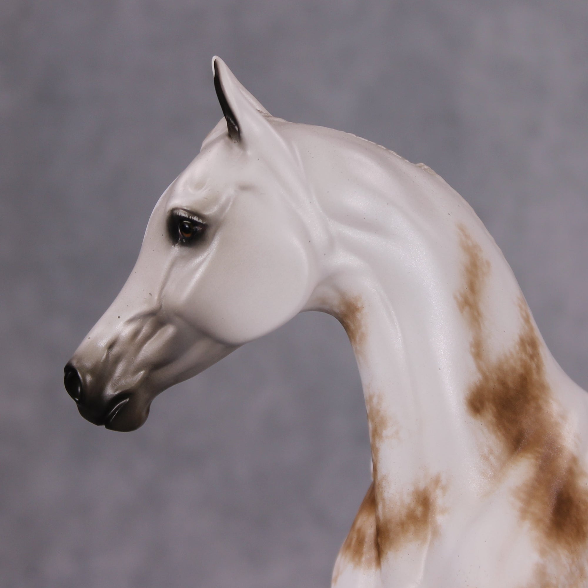 Easy Living OOAK Dappled Fleabitten Grey Custom Arab Mare By Sheryl Leisure Best Offers 11/19/24