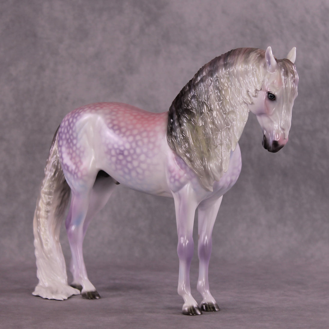"Candy Floss" OOAK Andalusian by Ellen Robbins SHCF25