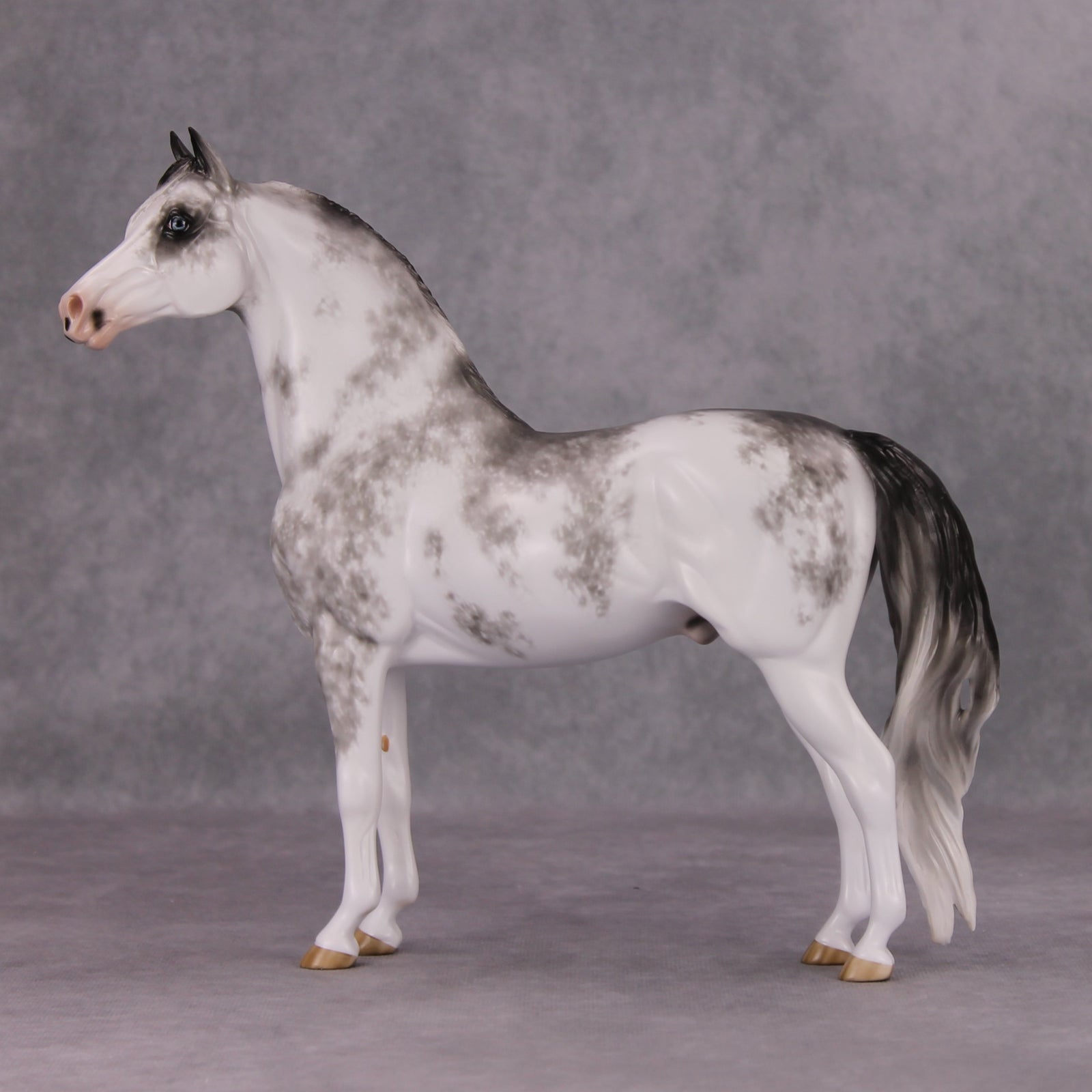 Minooka OOAK Black Sabino Custom Morgan By Sheryl Leisure Best Offers 11/19/24