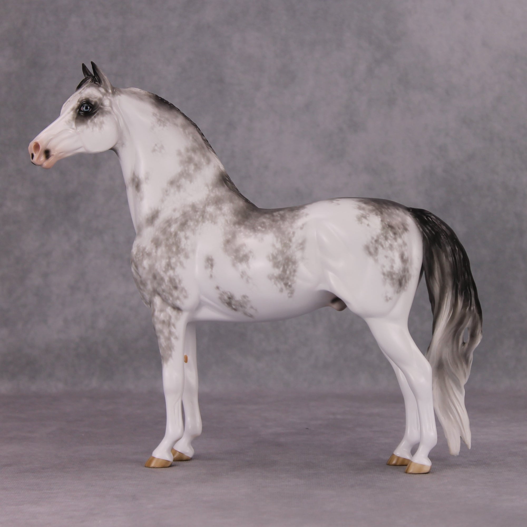 Minooka OOAK Black Sabino Custom Morgan By Sheryl Leisure Best Offers 11/19/24