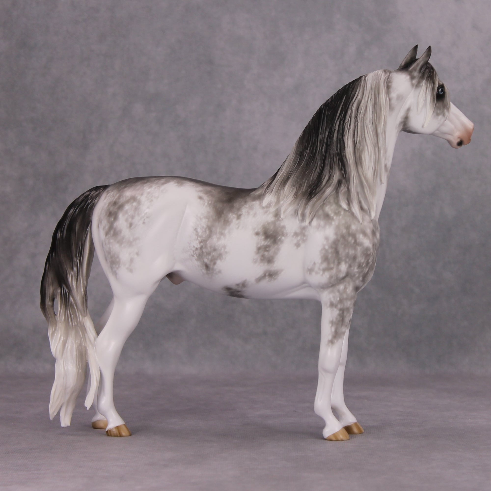 Minooka OOAK Black Sabino Custom Morgan By Sheryl Leisure Best Offers 11/19/24