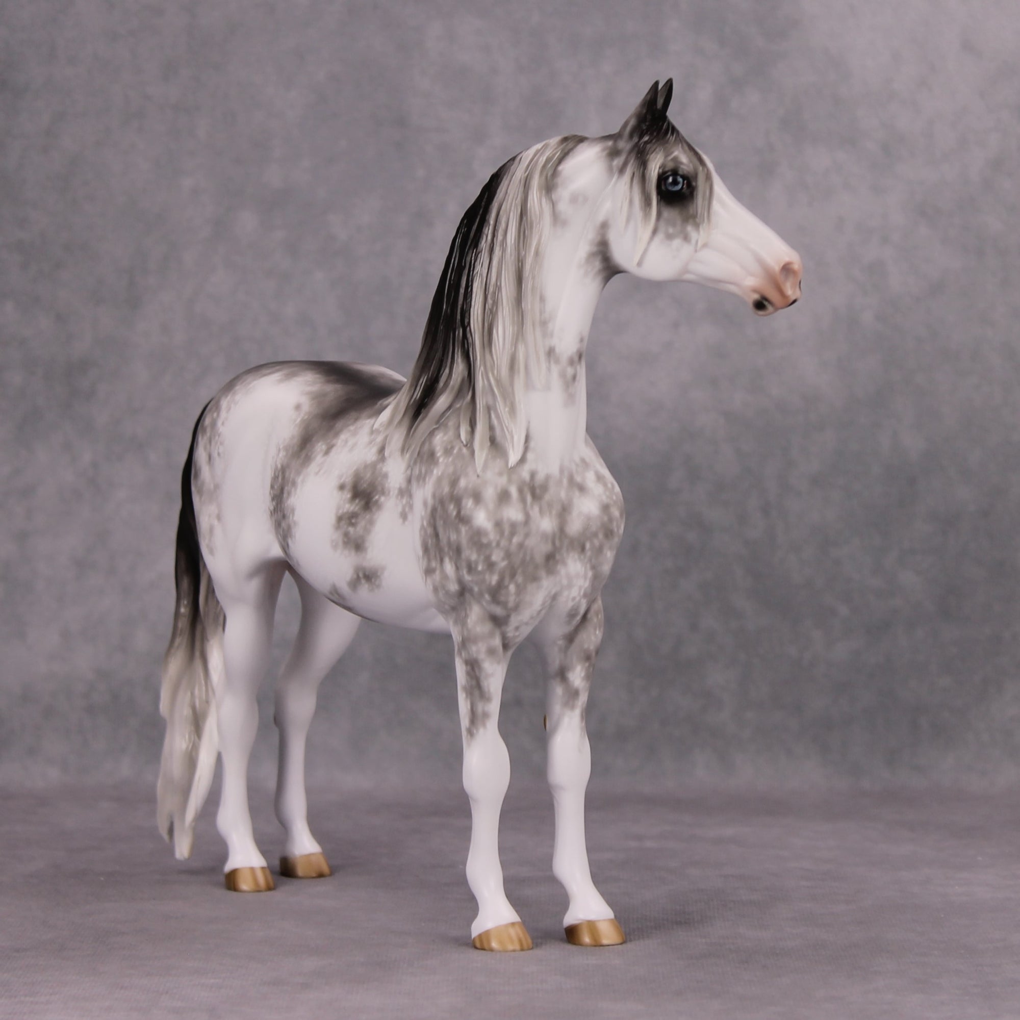 Minooka OOAK Black Sabino Custom Morgan By Sheryl Leisure Best Offers 11/19/24