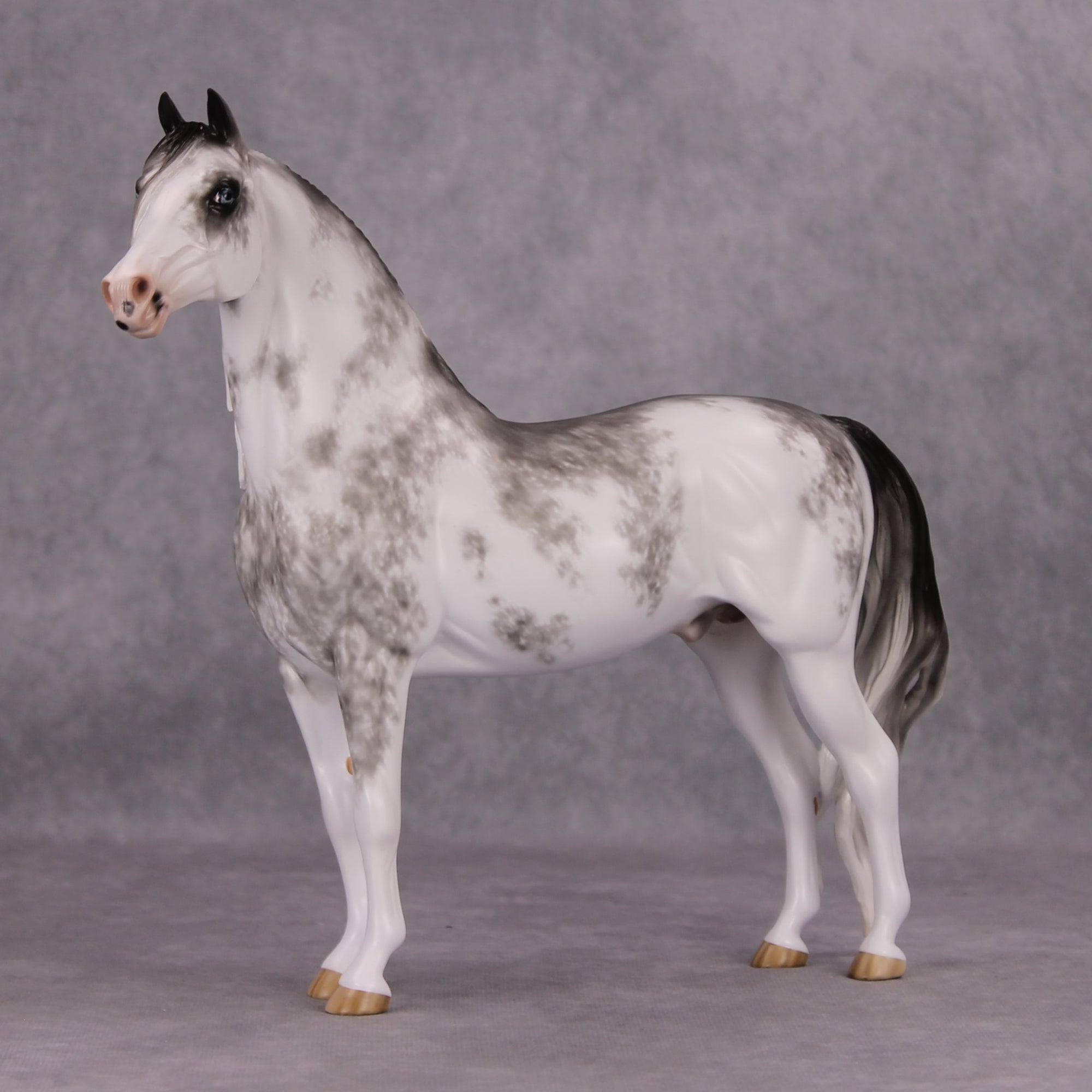 Minooka OOAK Black Sabino Custom Morgan By Sheryl Leisure Best Offers 11/19/24