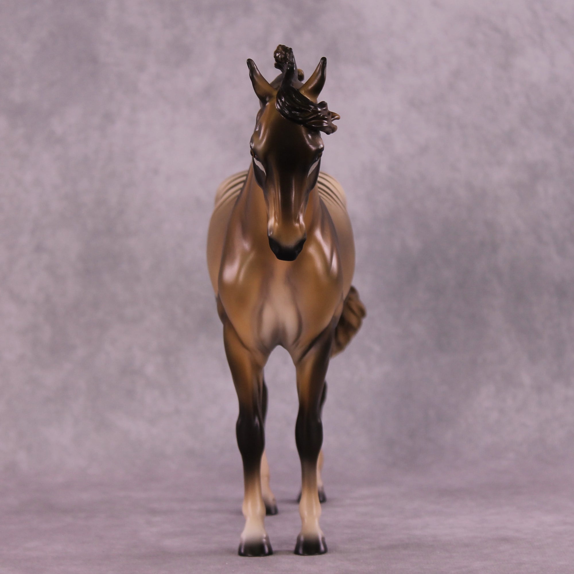 I Want To Believe OOAK FCM Andalusian by Tegan Davis GS825
