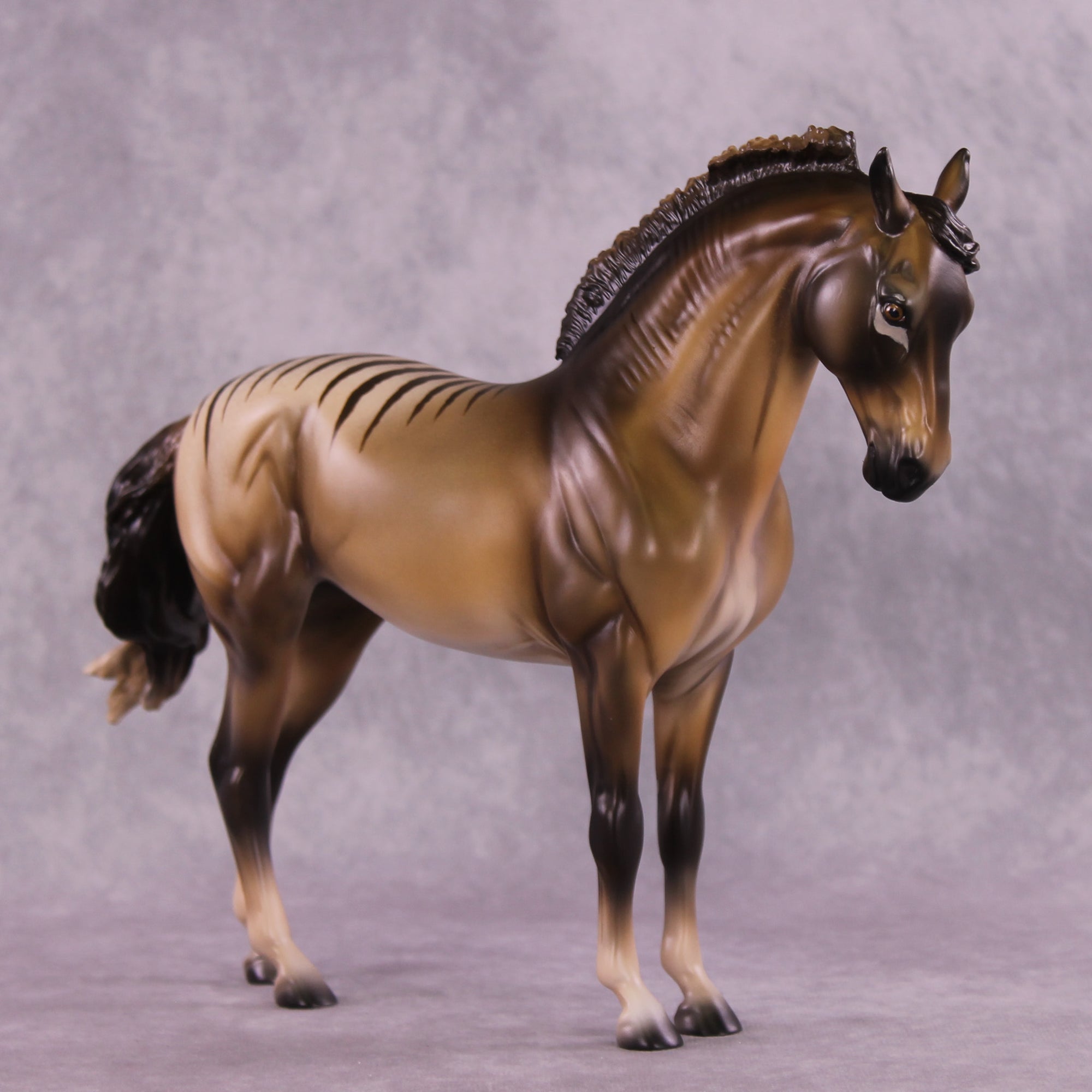 I Want To Believe OOAK FCM Andalusian by Tegan Davis GS825