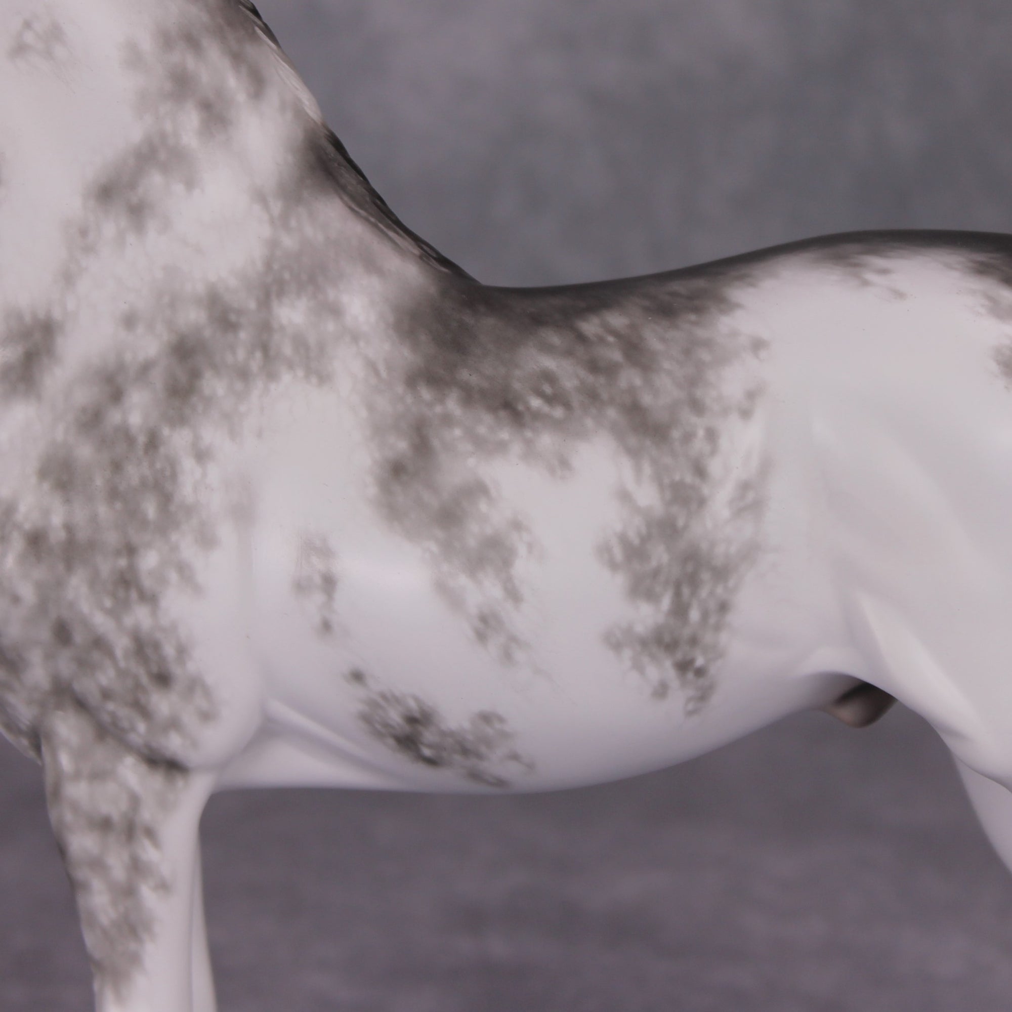 Minooka OOAK Black Sabino Custom Morgan By Sheryl Leisure Best Offers 11/19/24