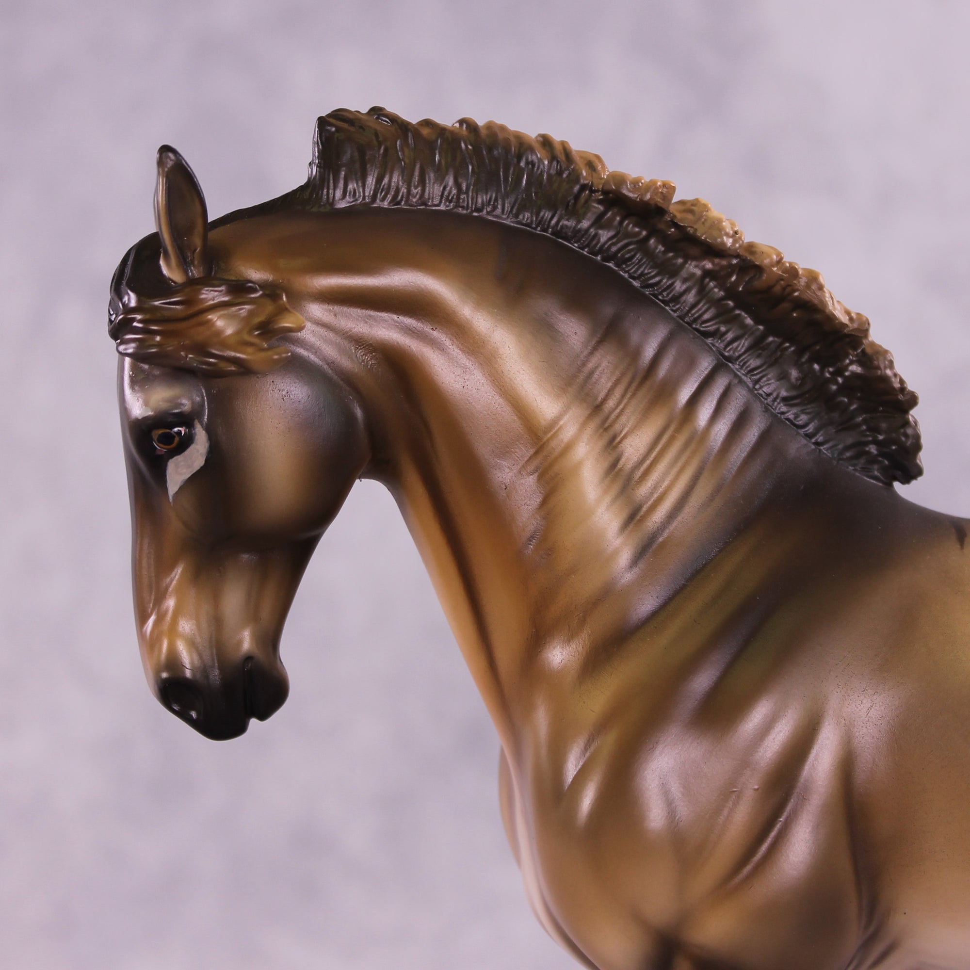 I Want To Believe OOAK FCM Andalusian by Tegan Davis GS825