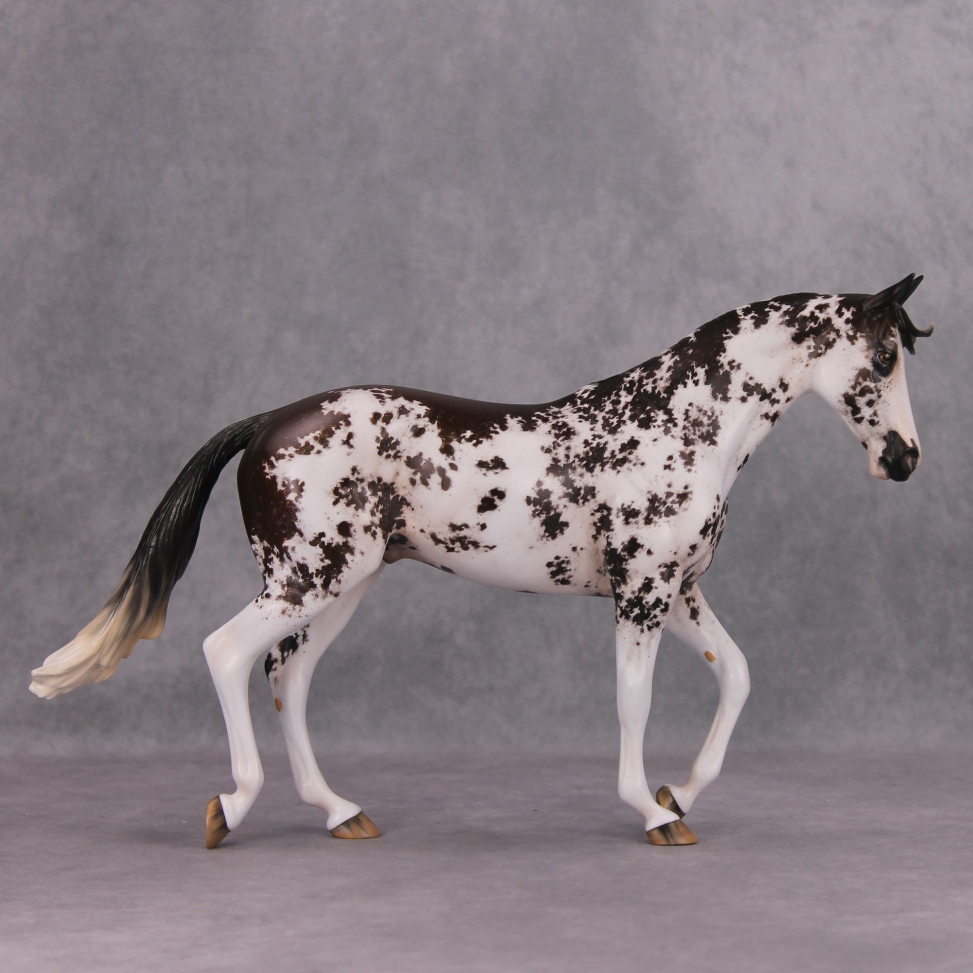 István OOAK Bay Sabino Custom Thoroughbred By Jess Hamill Best Offers 11/19/24