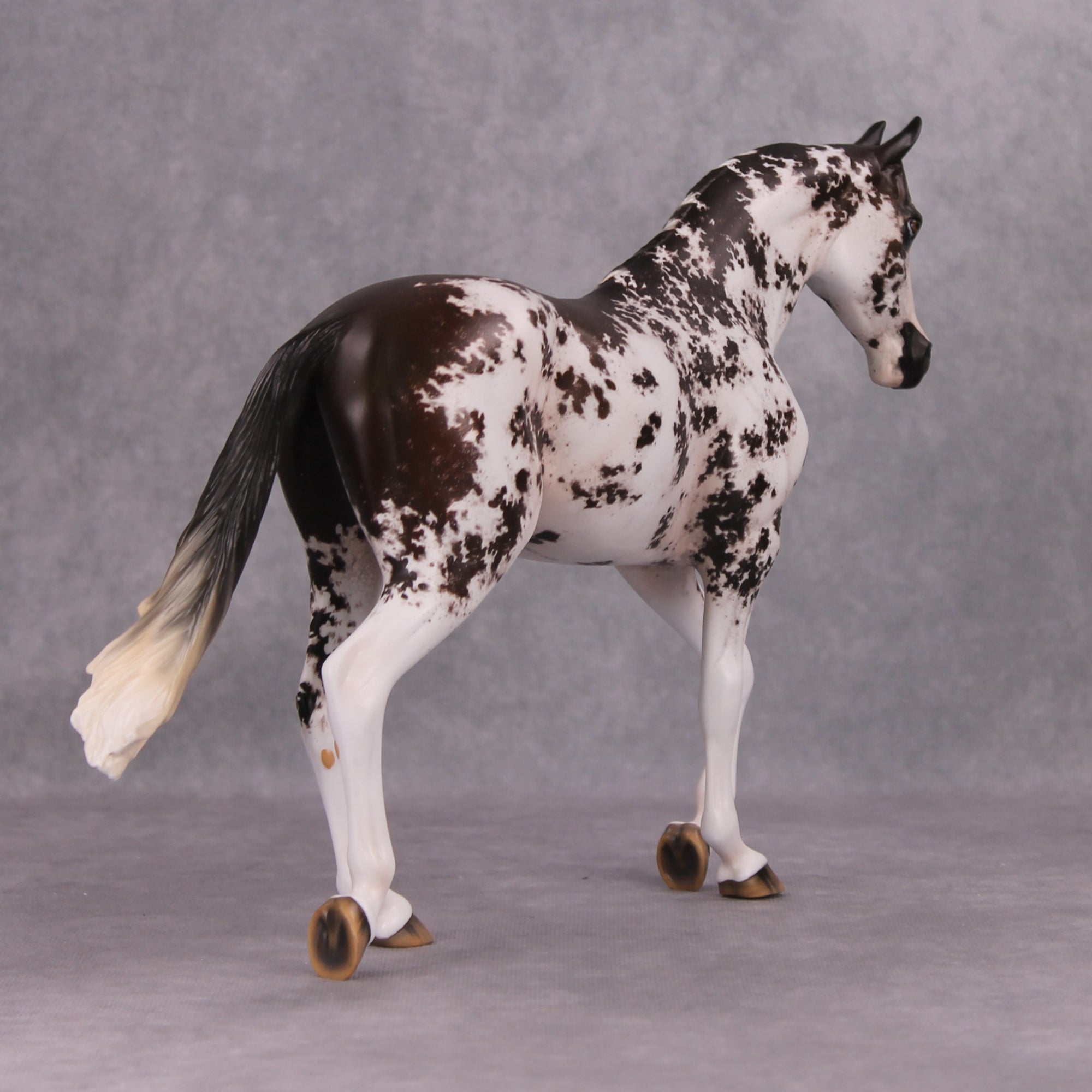 István OOAK Bay Sabino Custom Thoroughbred By Jess Hamill Best Offers 11/19/24