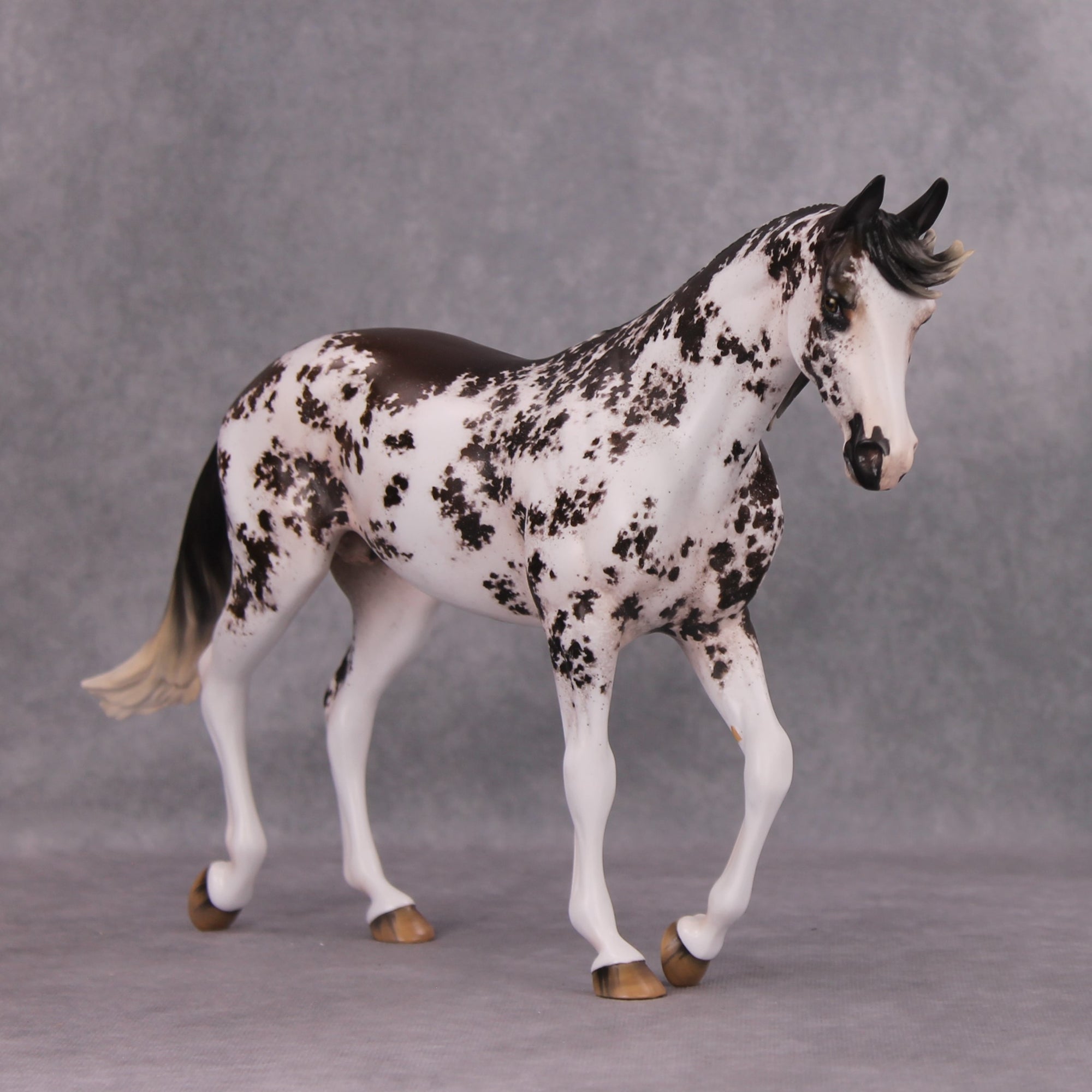 István OOAK Bay Sabino Custom Thoroughbred By Jess Hamill Best Offers 11/19/24