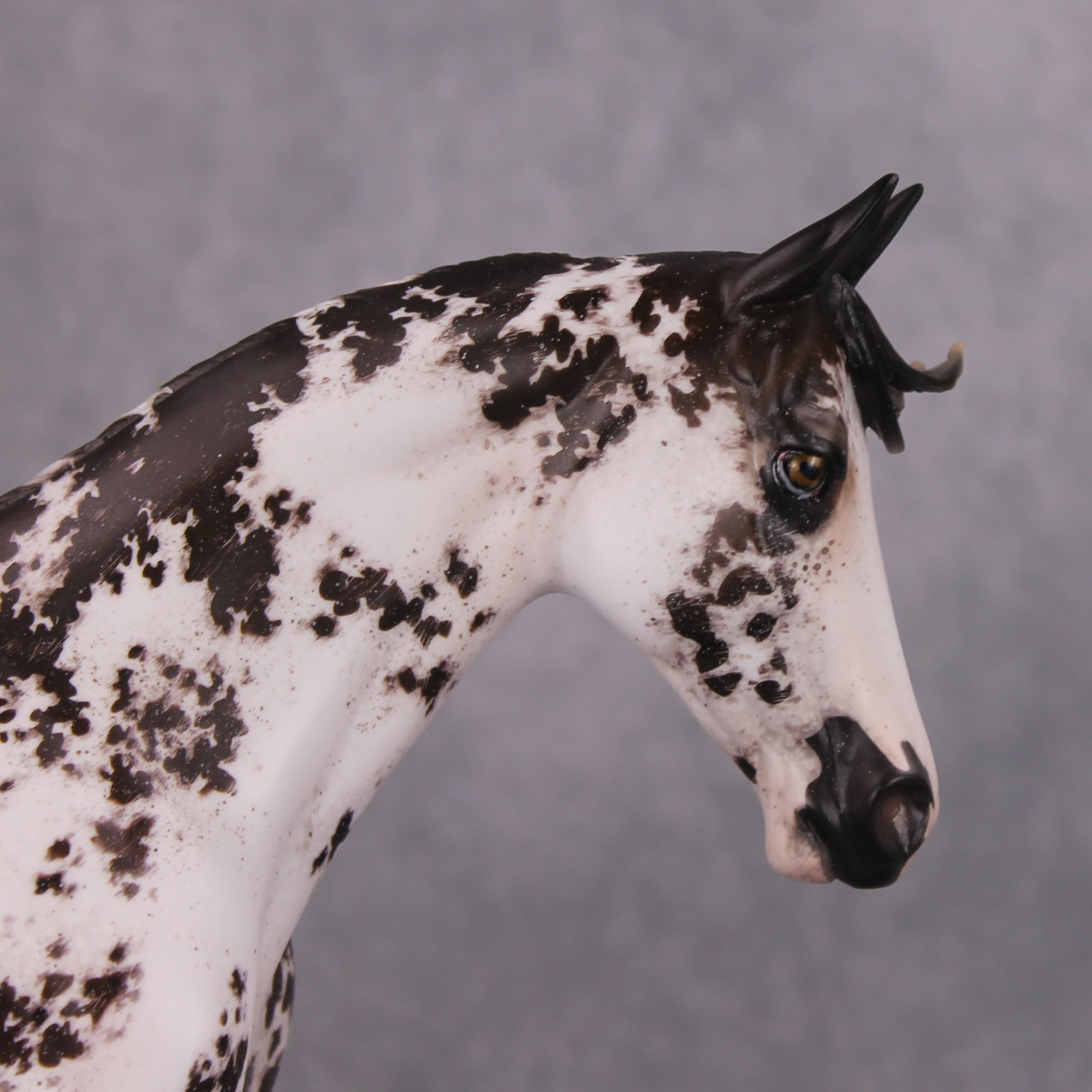 István OOAK Bay Sabino Custom Thoroughbred By Jess Hamill Best Offers 11/19/24