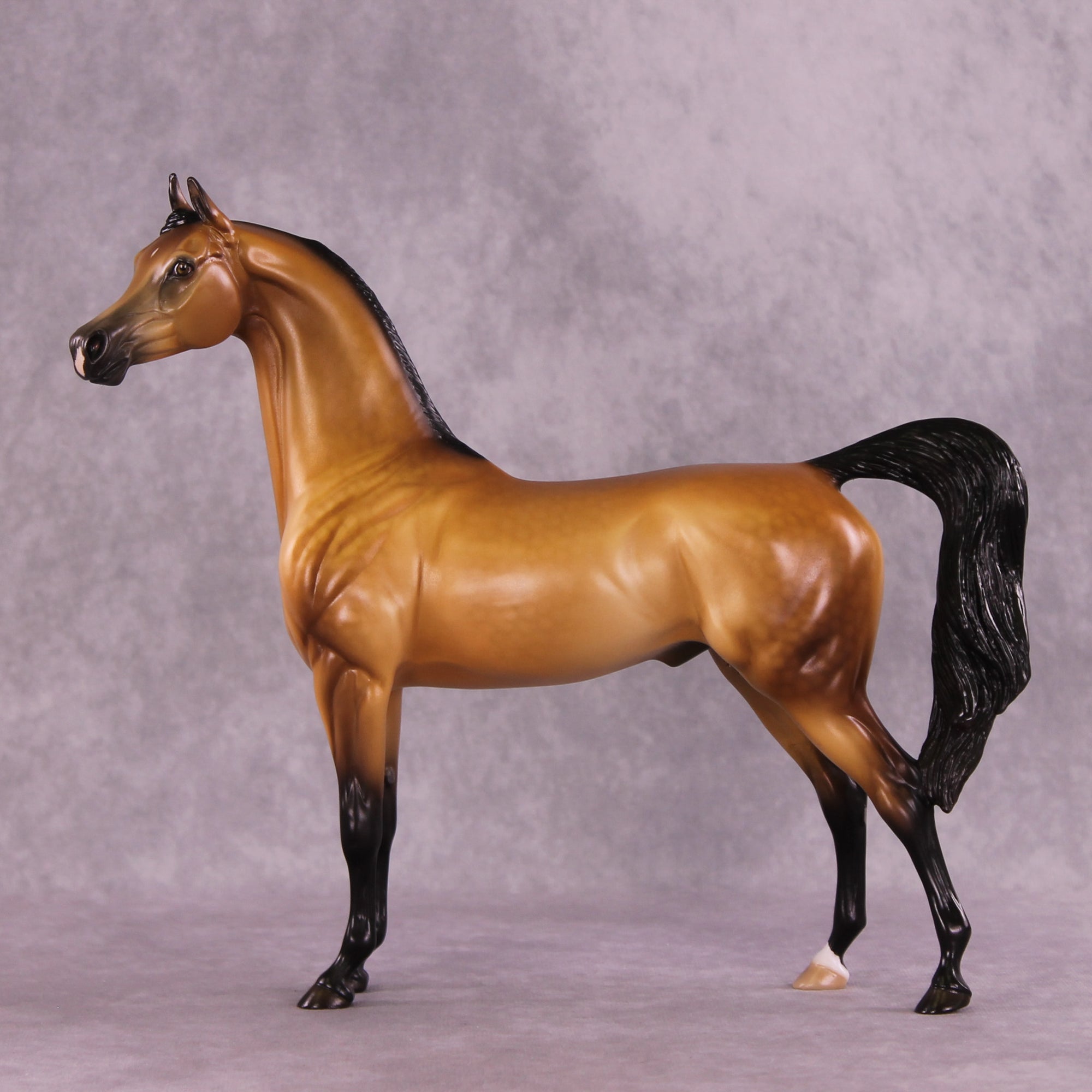 Hobbes OOAK Arabian Stallion by Ellen Robbins DDOOAKs25
