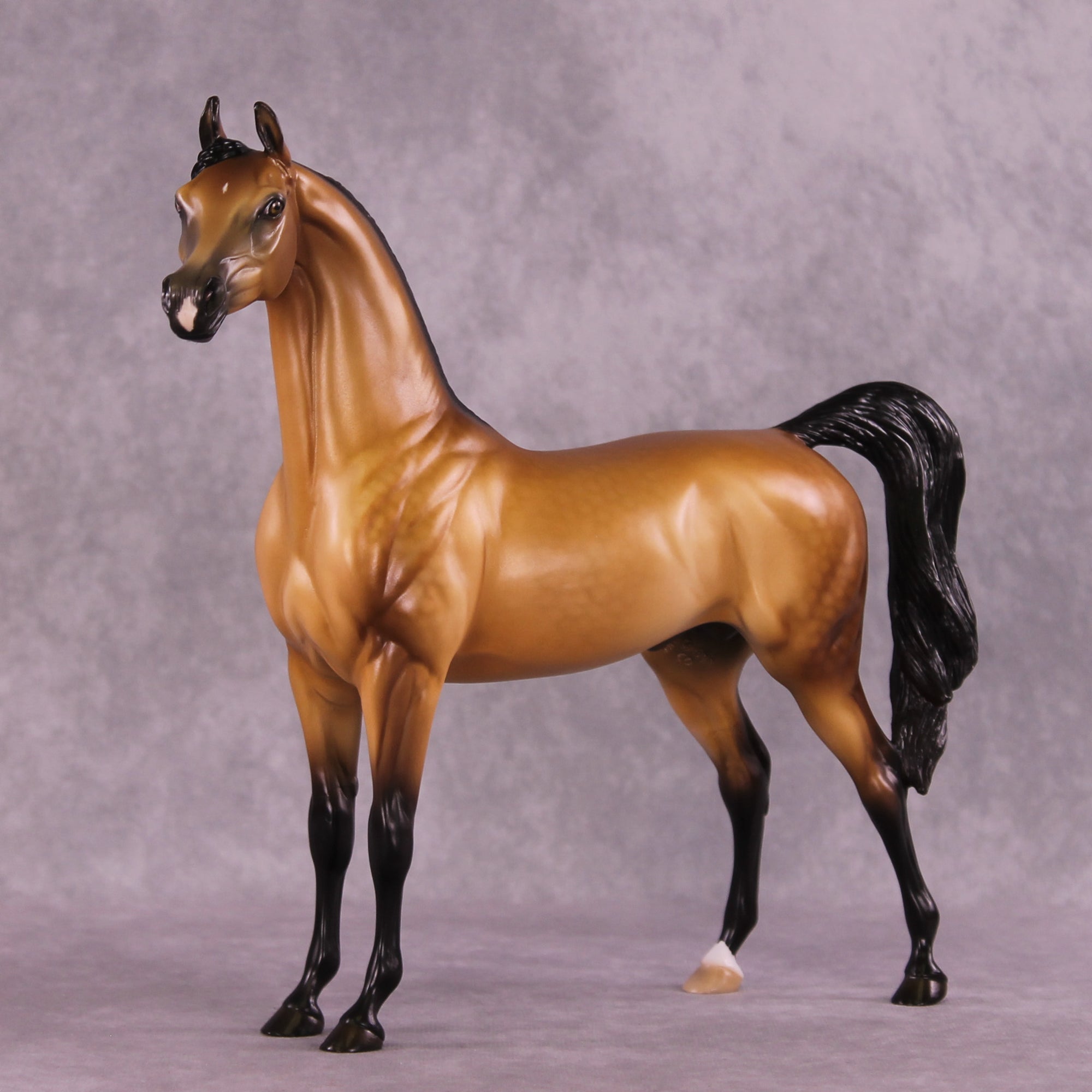 Hobbes OOAK Arabian Stallion by Ellen Robbins DDOOAKs25