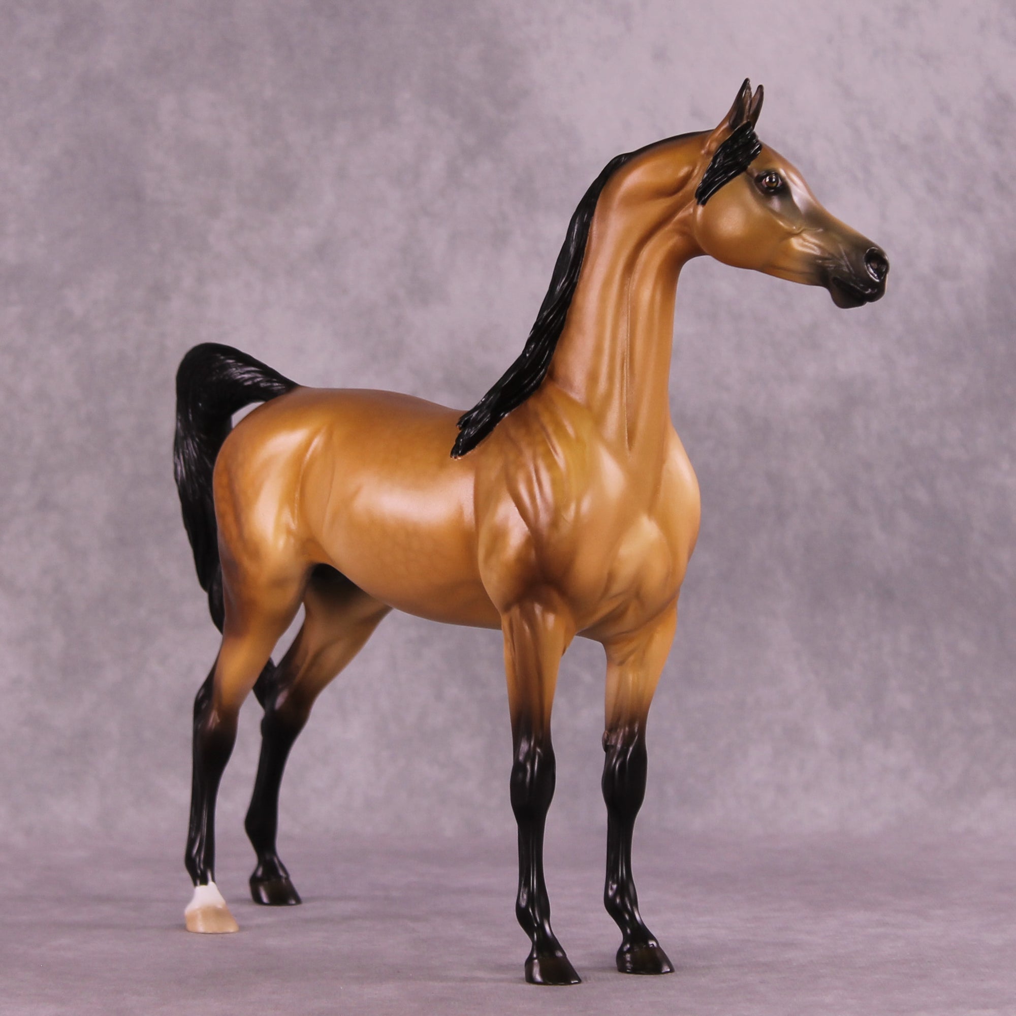 Hobbes OOAK Arabian Stallion by Ellen Robbins DDOOAKs25