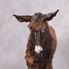 Existential Dreads OOAK Extreme Factory Custom Poitou Donkey by Kylee Park Best Offers 11/19/24