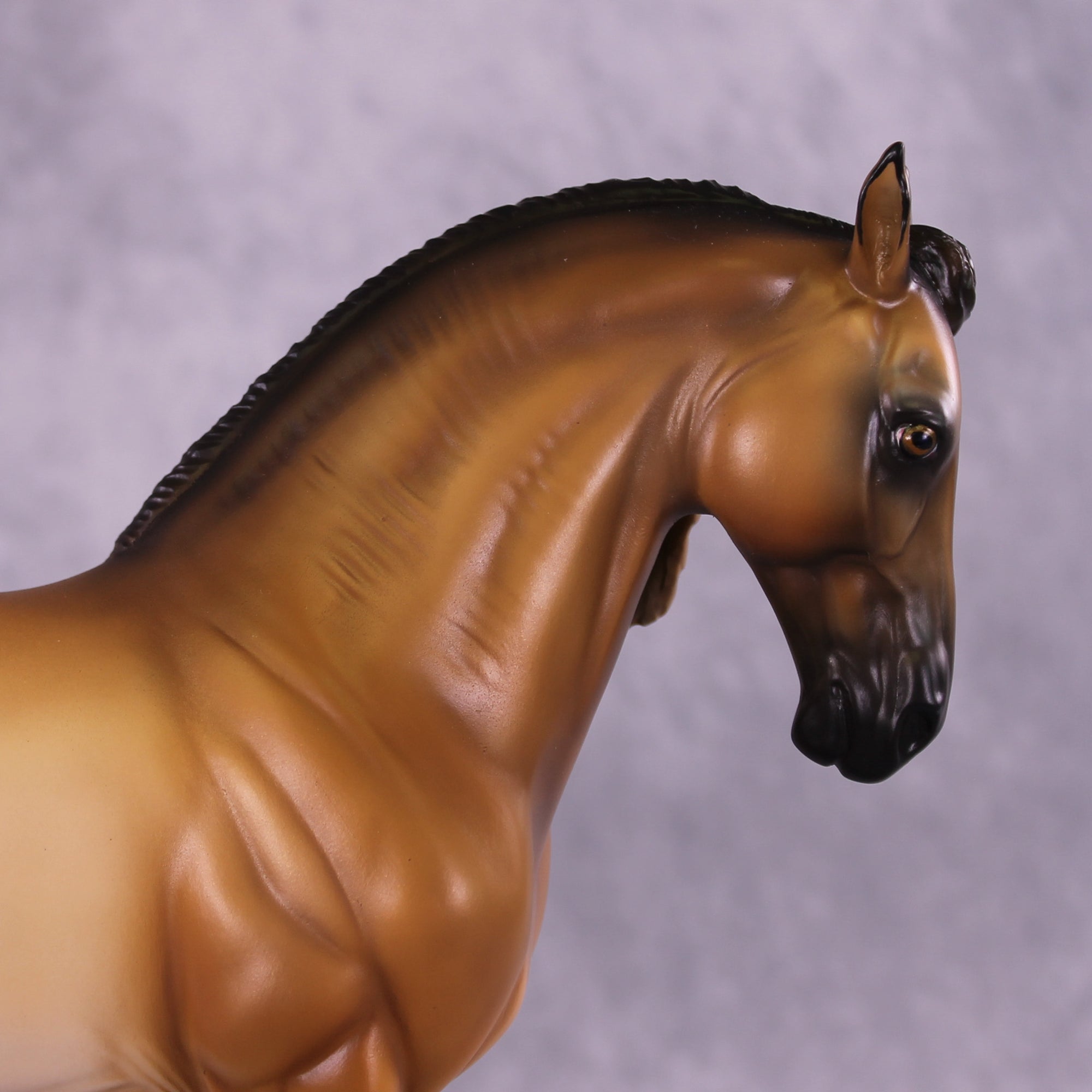 Beastie OOAK FCM Andalusian by Tegan Davis GS825