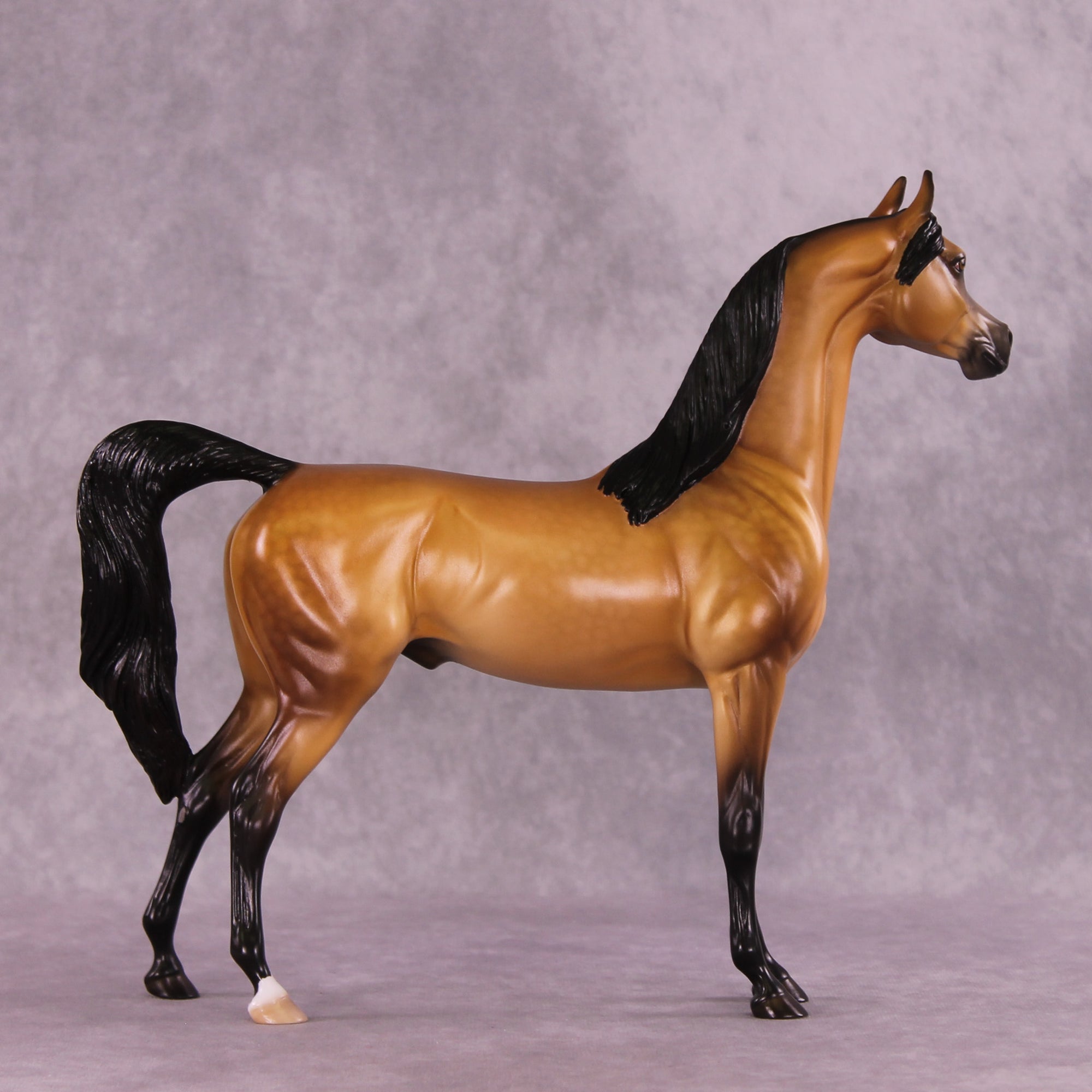 Hobbes OOAK Arabian Stallion by Ellen Robbins DDOOAKs25