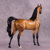 Hobbes OOAK Arabian Stallion by Ellen Robbins DDOOAKs25