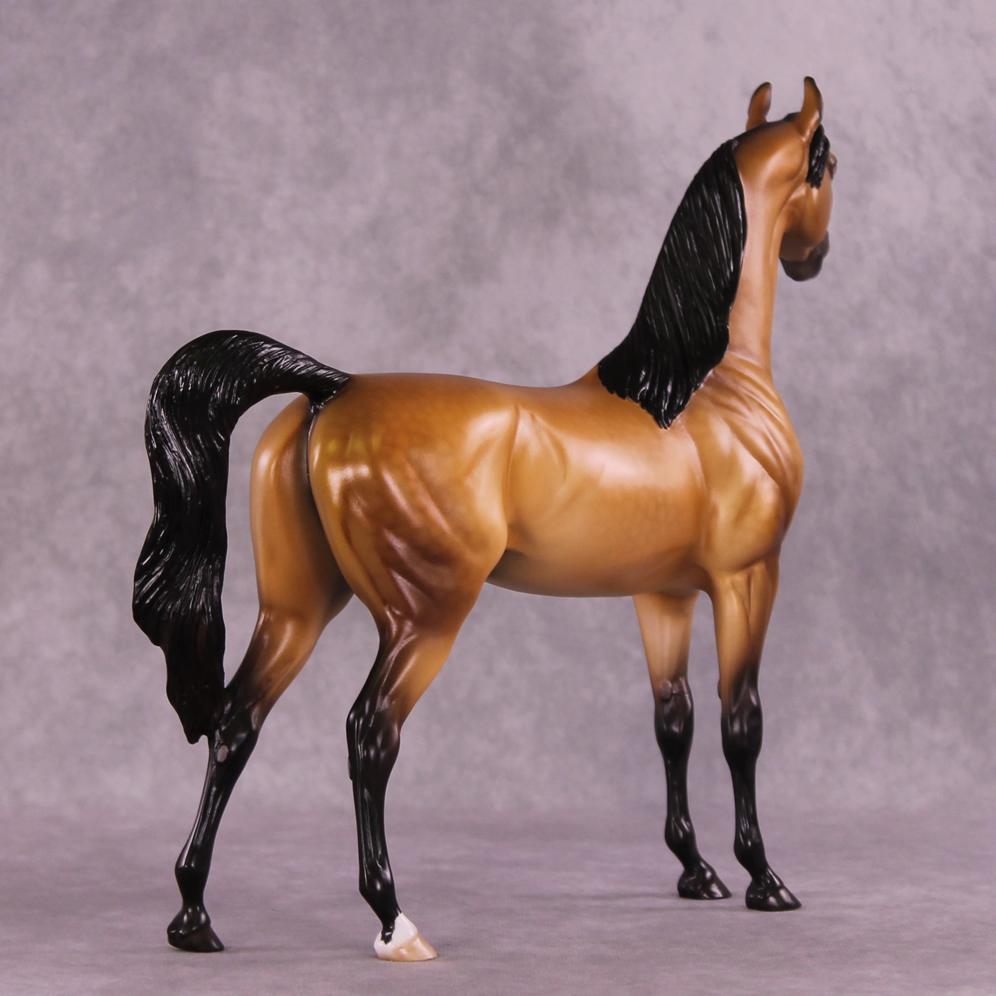 Hobbes OOAK Arabian Stallion by Ellen Robbins DDOOAKs25