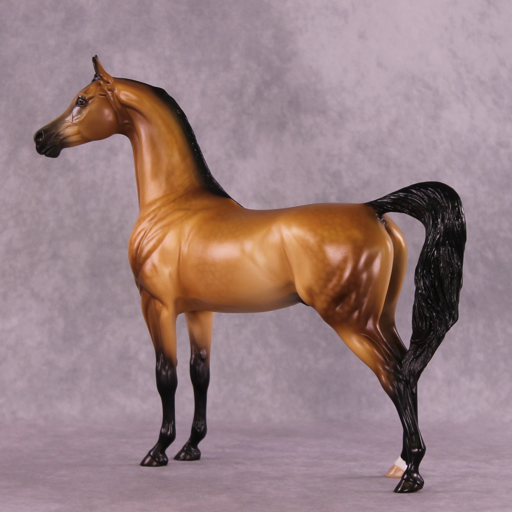 Hobbes OOAK Arabian Stallion by Ellen Robbins DDOOAKs25