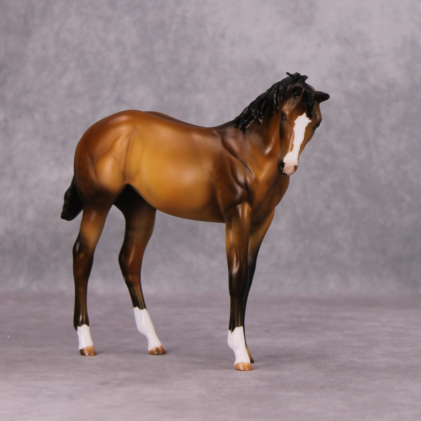 Dun Nappin&#39; OOAK Bay Dun Custom Weanling By Julie Keim Best Offers 11/19/24