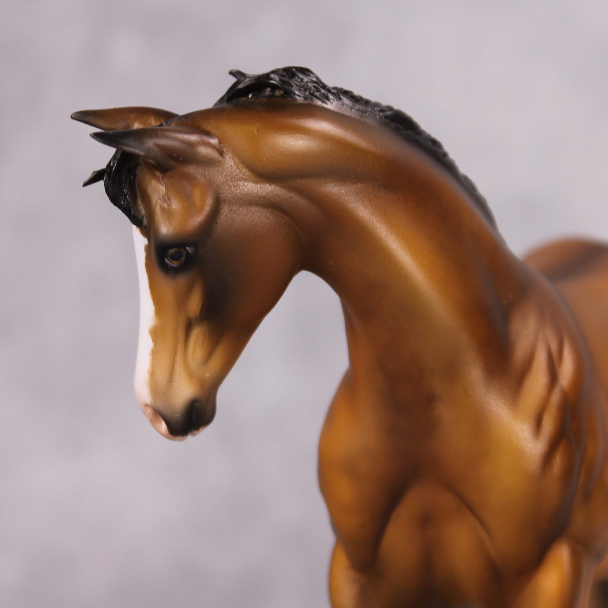 Dun Nappin&#39; OOAK Bay Dun Custom Weanling By Julie Keim Best Offers 11/19/24