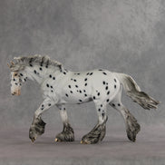 Catfish LE-10 FCM Irish Cob by Dawn Quick VV26
