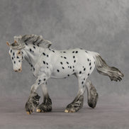 Catfish LE-10 FCM Irish Cob by Dawn Quick VV26