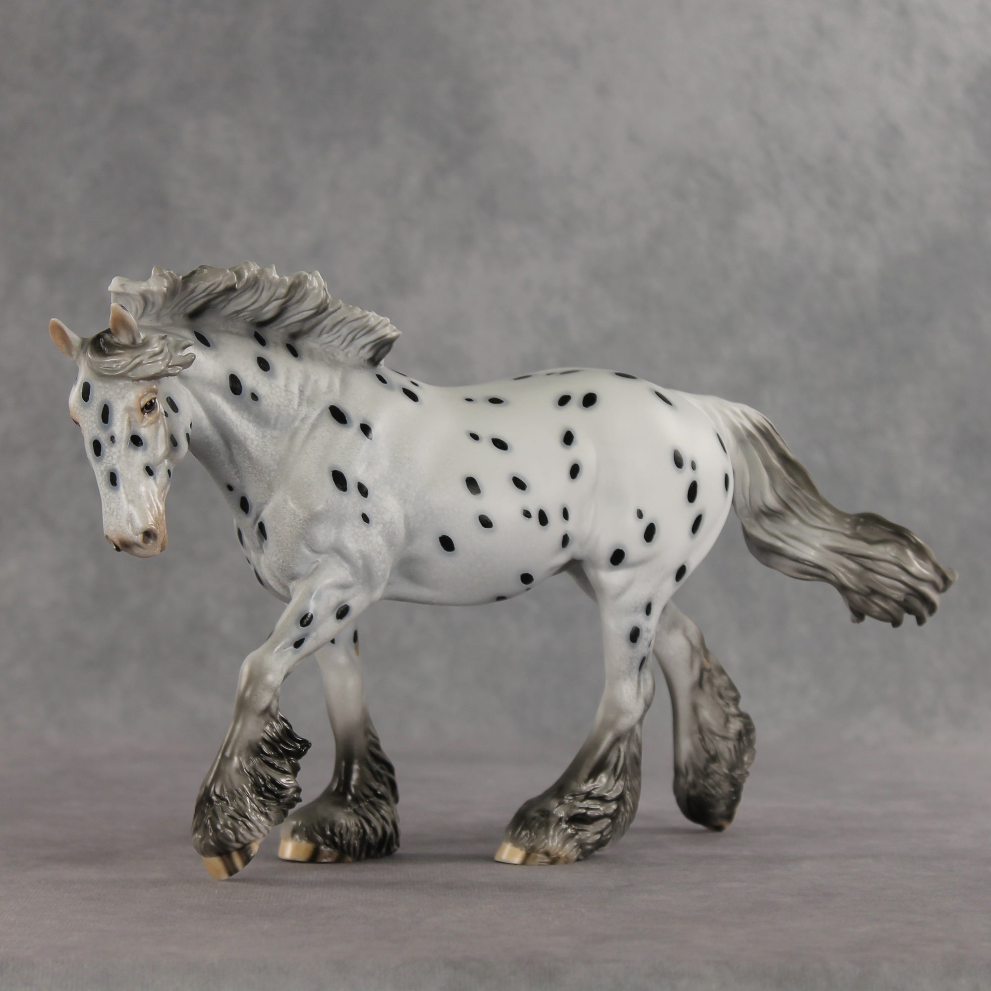 Catfish LE-10 FCM Irish Cob by Dawn Quick VV26