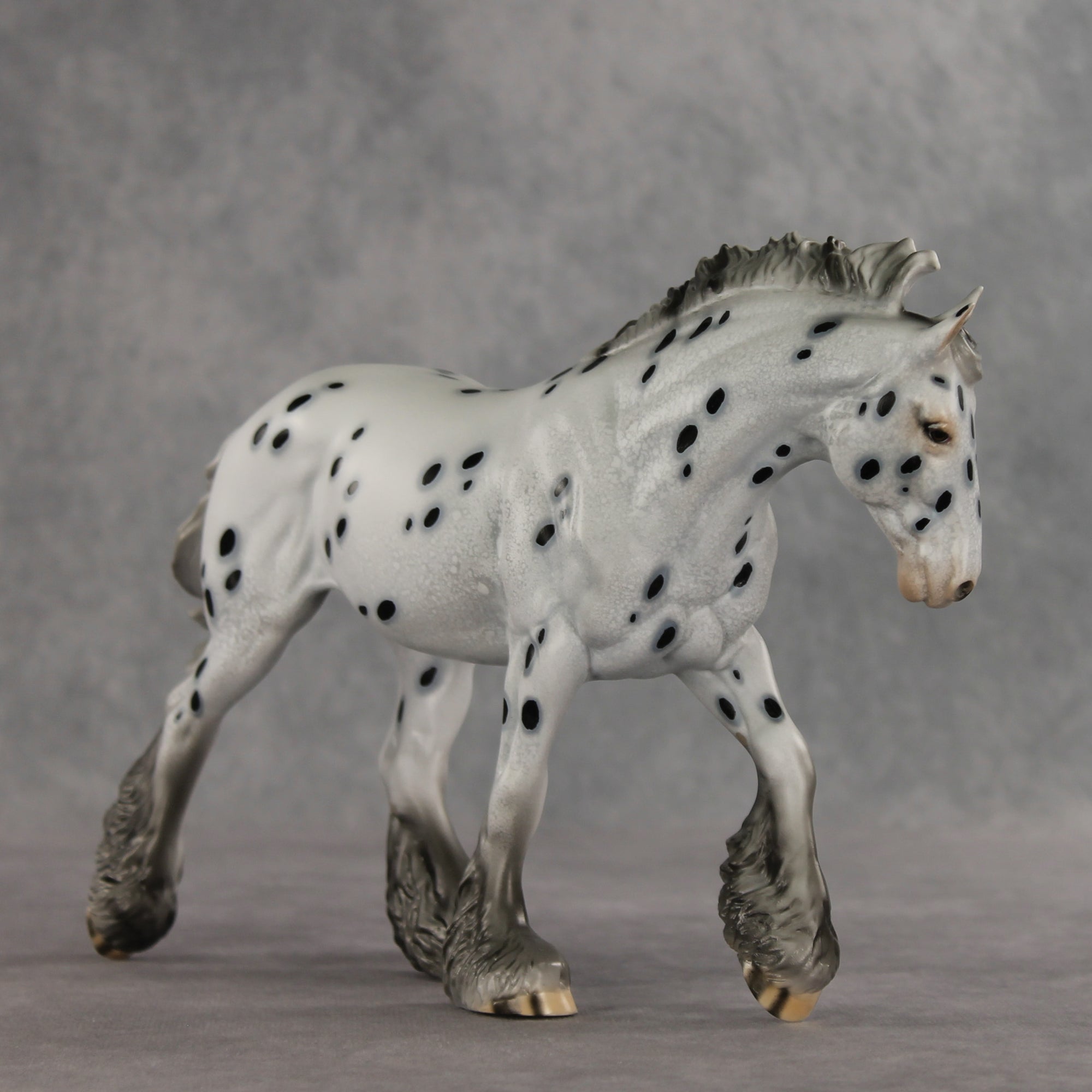 Catfish LE-10 FCM Irish Cob by Dawn Quick VV26
