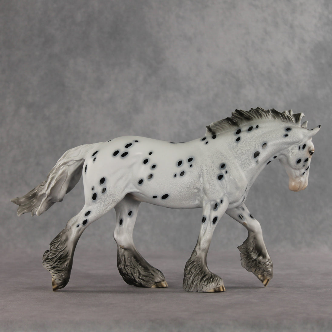 Catfish LE-10 FCM Irish Cob by Dawn Quick VV26