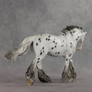 Catfish LE-10 FCM Irish Cob by Dawn Quick VV26