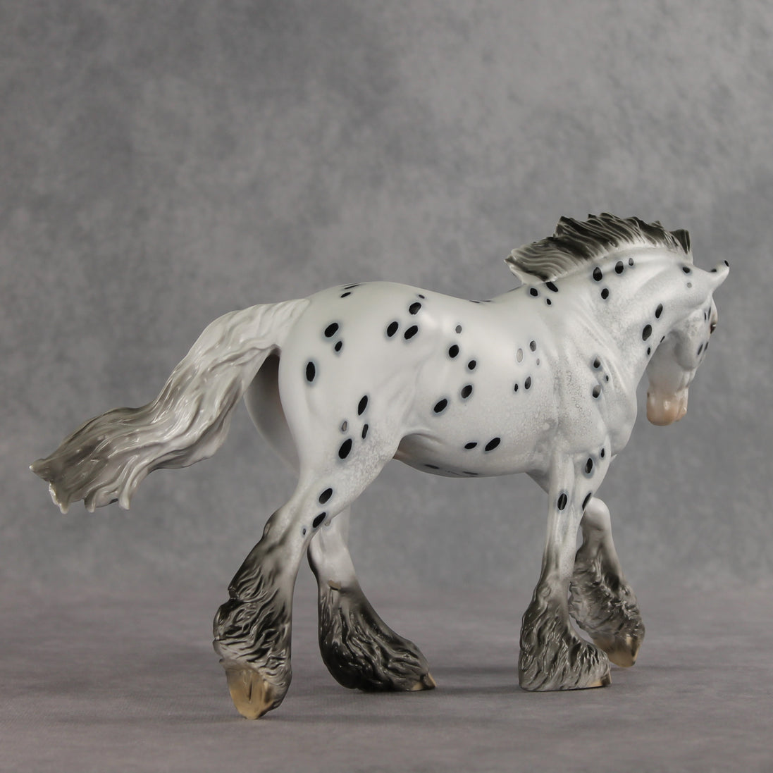 Catfish LE-10 FCM Irish Cob by Dawn Quick VV26